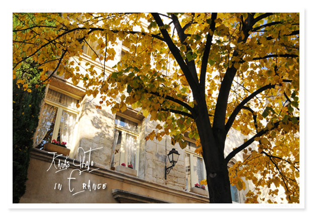Avignon の秋。.jpg