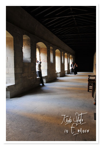 Avignon 法王庁宮殿の中はこんな感じ。.jpg