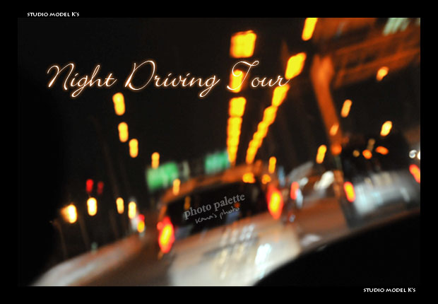 night driving tour.jpg